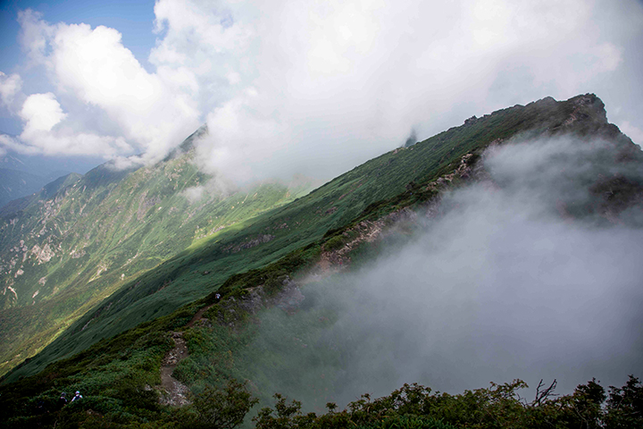 観光業・旅行業、アウトドア